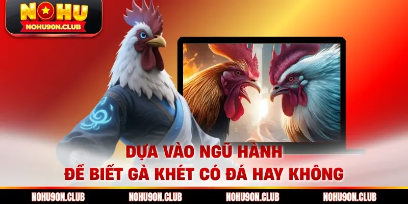 Dựa vào ngũ hành để biết gà khét có đá hay không
