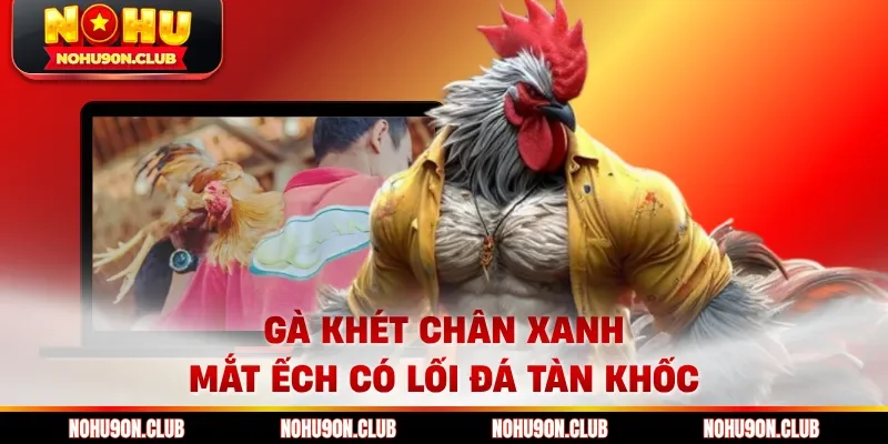 Gà khét chân xanh mắt ếch có lối đá tàn khốc