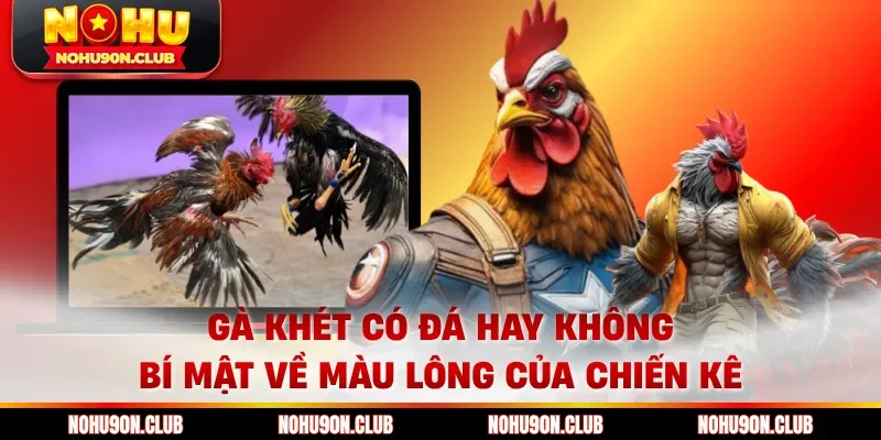 Gà khét có đá hay không