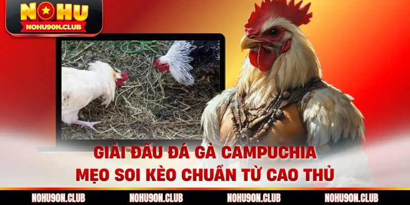 Giải đấu đá gà Campuchia