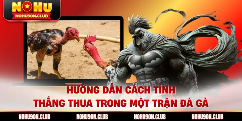 Hướng dẫn cách tính thắng thua trong một trận đá gà