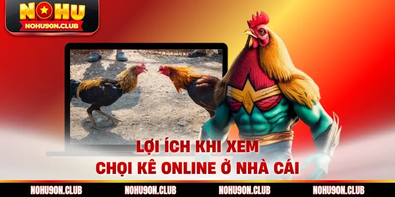 Lợi ích khi xem chọi kê online ở nhà cái