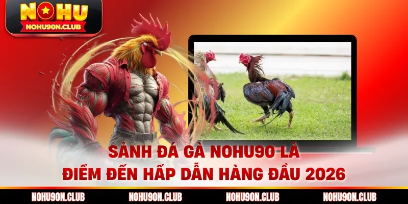 Sảnh đá gà Nohu90 là điểm đến hấp dẫn hàng đầu 2026