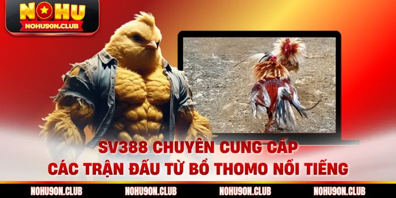 SV388 chuyên cung cấp các trận đấu từ bồ Thomo nổi tiếng