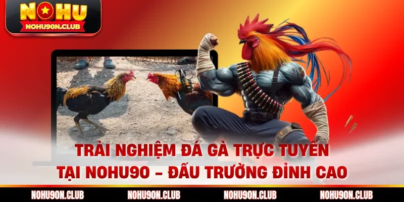 Trải nghiệm đá gà trực tuyến tại Nohu90